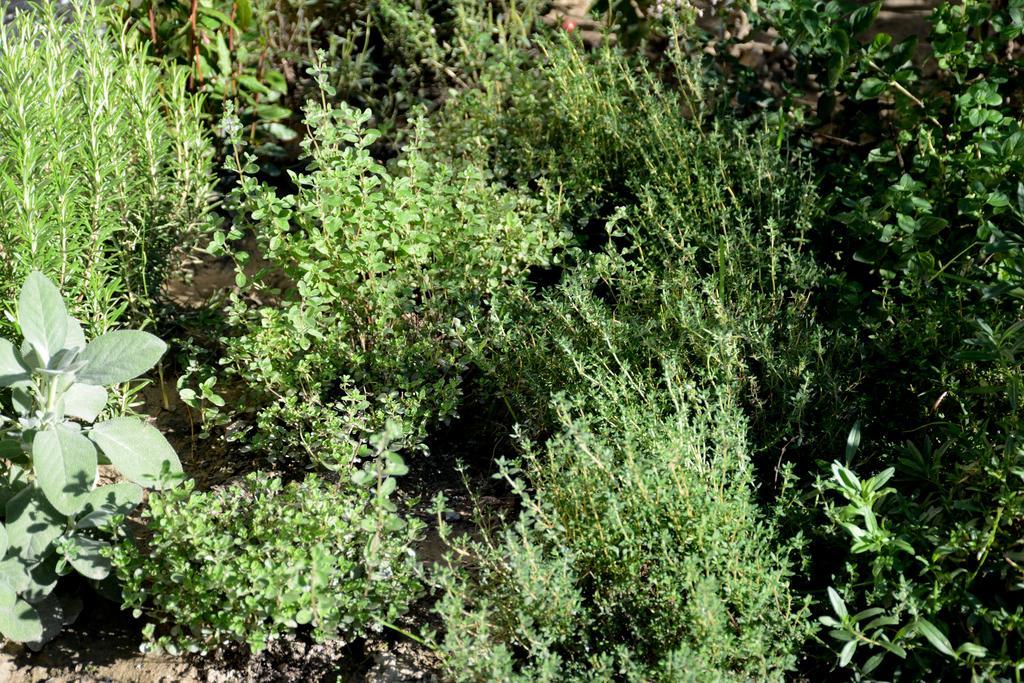 Garnhof Apartman Coldrano Kültér fotó